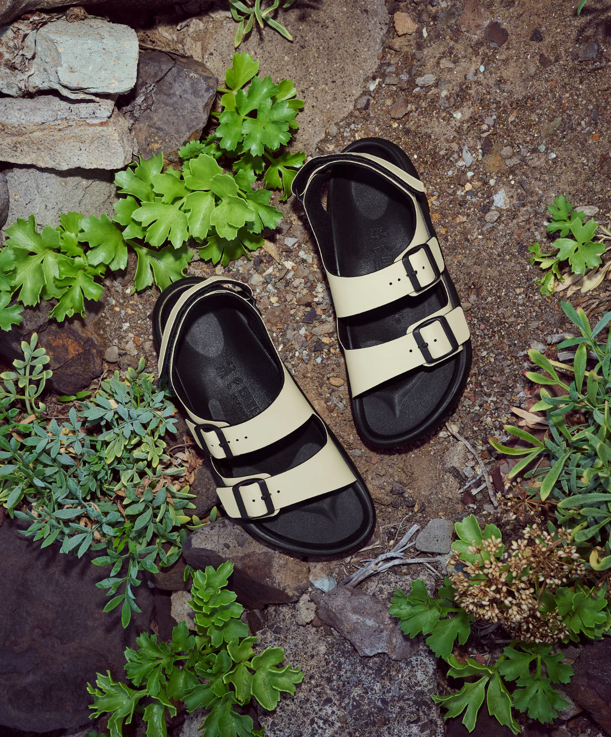 Birkenstock Mogami Terra Birko-Flor Eucalyptus Sandals - Image 3