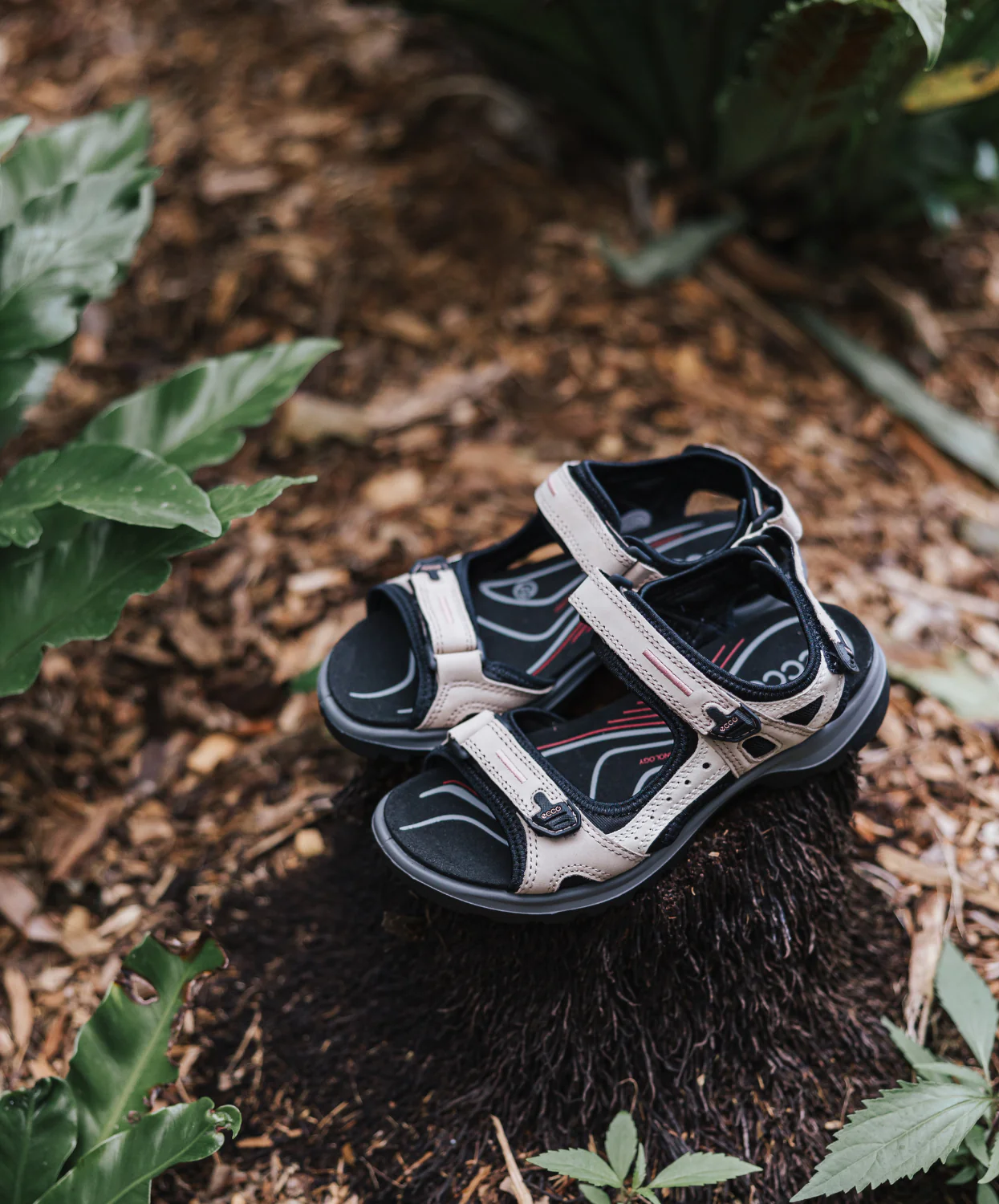 Ecco Offroad Womens Sandal Ice Black - Image 6
