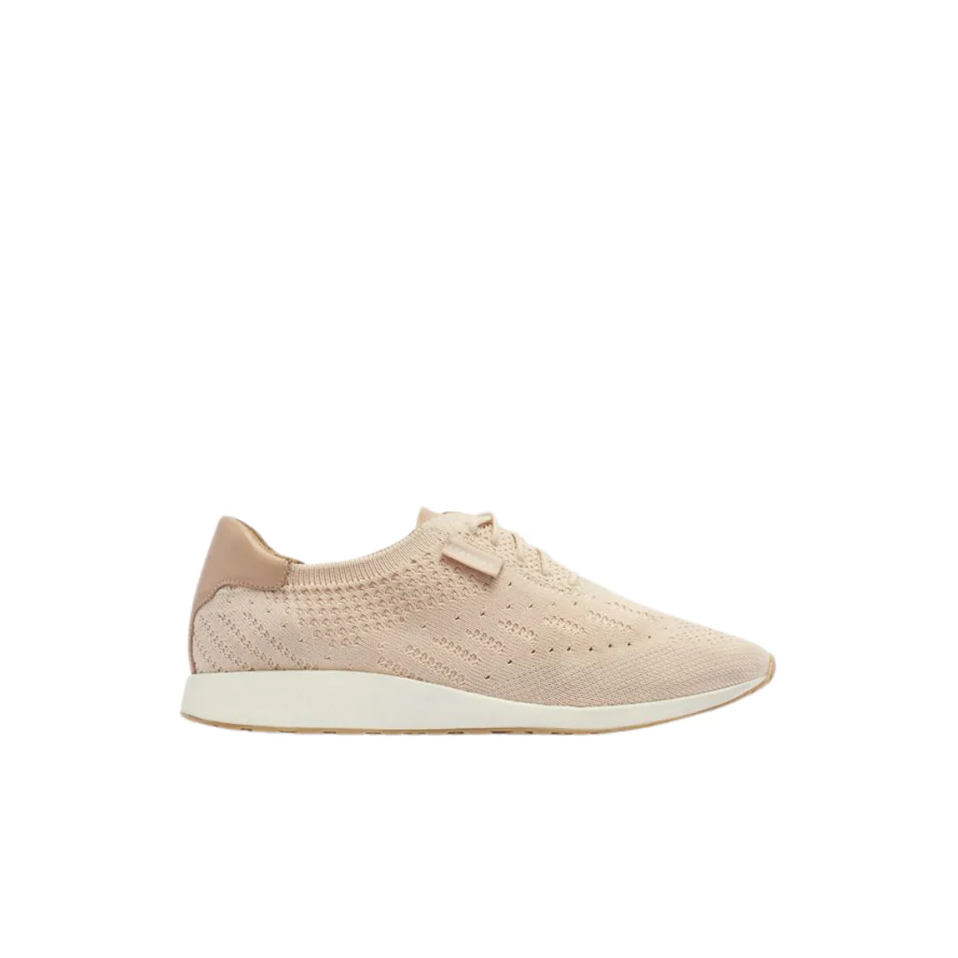 Frankie4 Dimity II Oat Milk Knit Sneaker