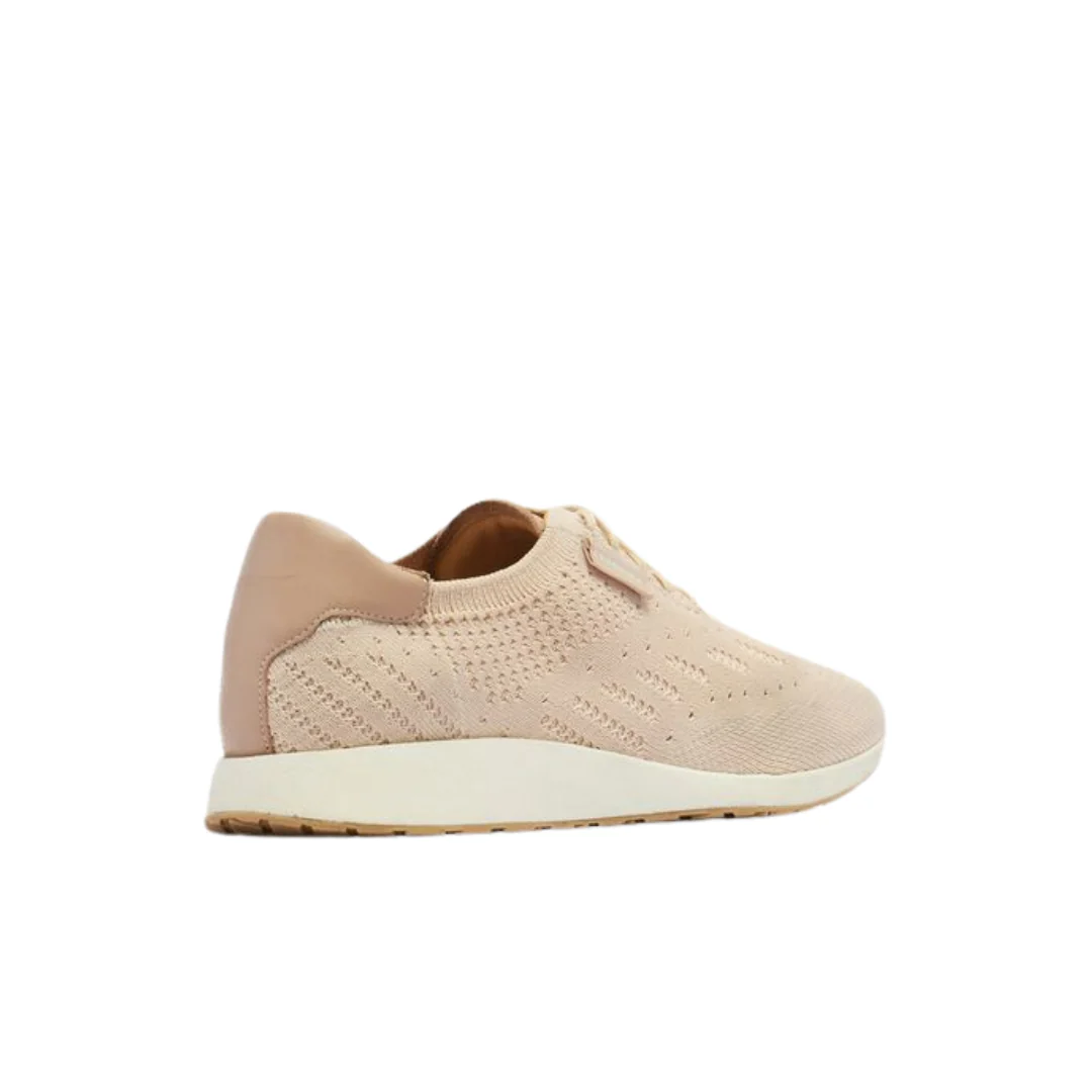 Frankie4 Dimity II Oat Milk Knit Sneaker - Image 4